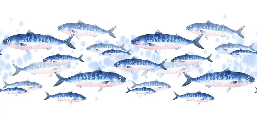 Seamless pattern of school of atlantic mackerel, scomber. Watercolor illustration fishes border on white background - Featured in The Garden Room at Priory Wareham