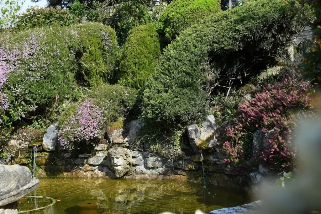 gardens to visit wareham