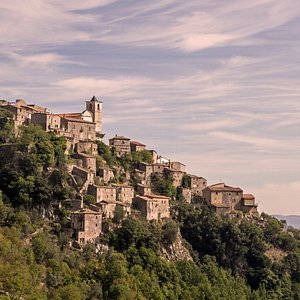 trip advisor profile review picture